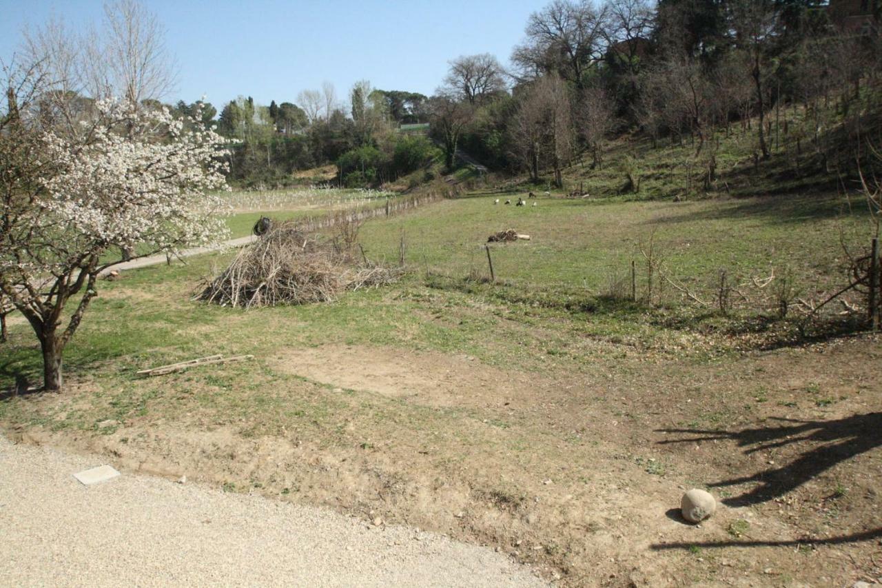 Agriturismo "La Fondazza" Имола Экстерьер фото