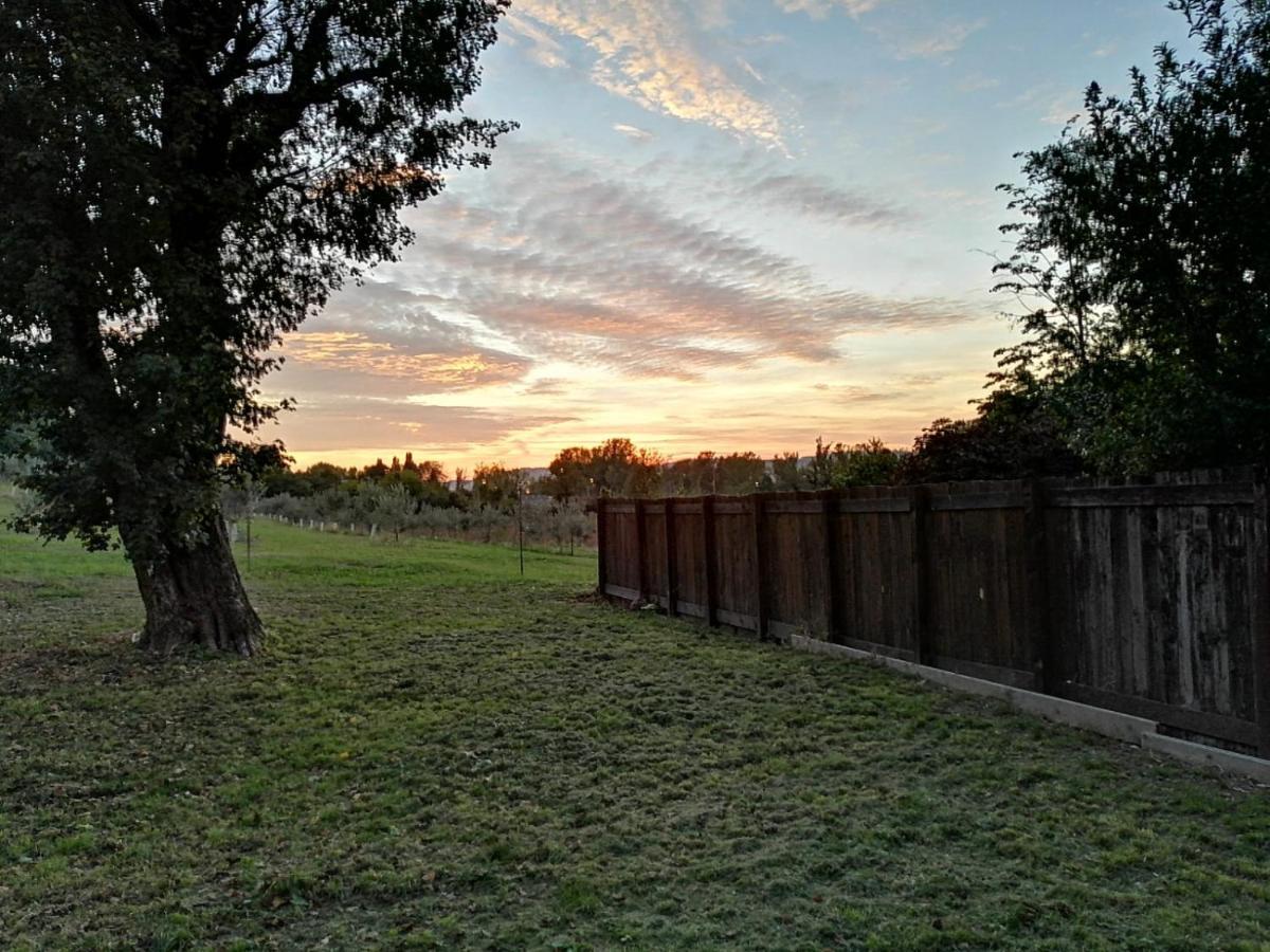 Agriturismo "La Fondazza" Имола Экстерьер фото